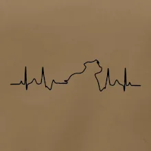 Stafordšírsky bulteriér EKG