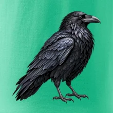 Zvířata Jizerských hor- Krkavec velký