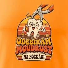 Odebírám moudrost na počkání