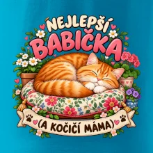 Nejlepší babička a kočičí máma spící zrzavý kocour
