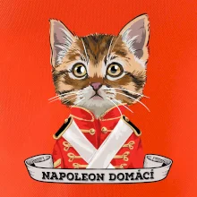 Napoleon domácí kočka