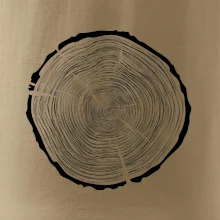 Letokruhy 85 bez věku