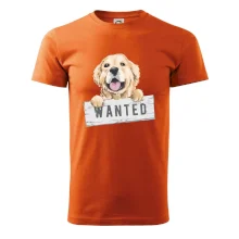 Zlatý retriever - štěně wanted