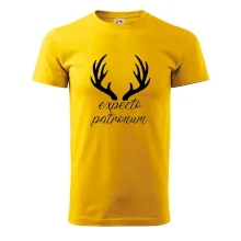 Harry - Expecto patronum