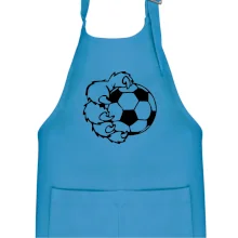 Medvědí tlapa fotbal