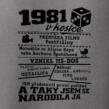 1981 v kostce