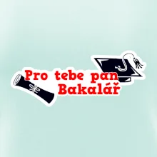 Pro tebe pan Bakalář