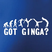Capoeira - Got Ginga Capoeira - Got Ginga