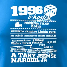 1996 v kostce