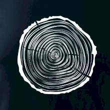 Letokruhy 25 bez věku