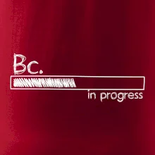 In progress  titul Bc. bakalář / bakalářka