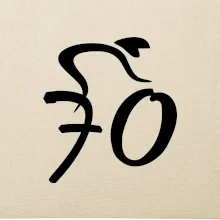 Cyklista slaví sedmdesátku (70)