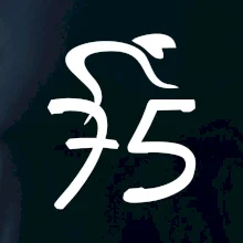 Cyklista slaví pětasedmdesátku (75)