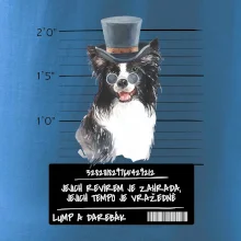 Lump a darebák border kolie