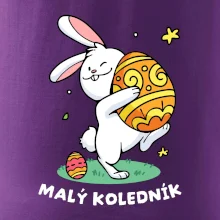 Malý koledník