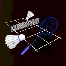 Badminton - hřiště