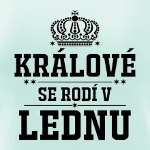 Králové se rodí v lednu