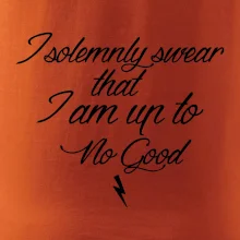 I solemnly swear that I'm up to no good