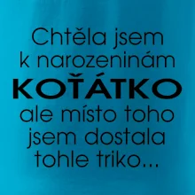 Chtěla jsem dostat k narozeninám koťátko