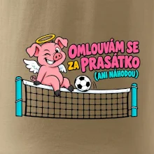 Nohejbalové prasátko na síti