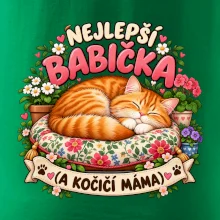 Nejlepší babička a kočičí máma spící zrzavý kocour