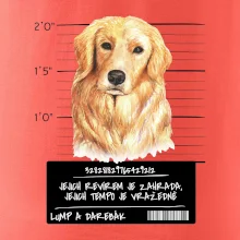 Lump a darebák zlatý retrívr