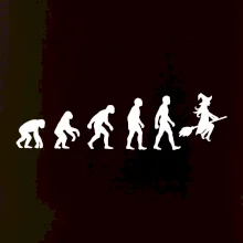 Evoluce čarodějnice