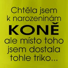 Chtěla jsem dostat k narozeninám koně Chtěla jsem dostat k narozeninám koně
