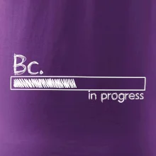 In progress  titul Bc. bakalář / bakalářka