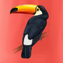 Tukan kreslený