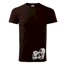 Shih-tzu - chlupatý