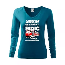 Jsem ukázněný řidič - tramvaj