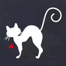 Zamilovaná kočka prohnutá