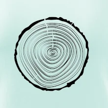 Letokruhy 20 bez věku