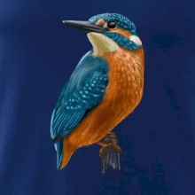 Lednáček kreslený