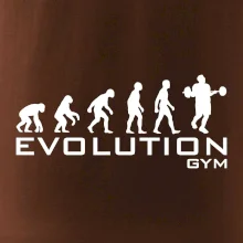 Evoluce Gym