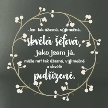 Jen tak skvělá šéfová jako jsem já