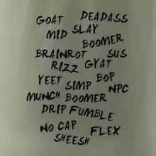 Generace Z - Gen Z slovník