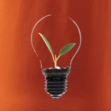 Žárovka květináč