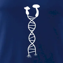DNA houby