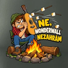 Ne Wonderwall nezahrám