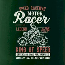 Motor Racer Motor Racer