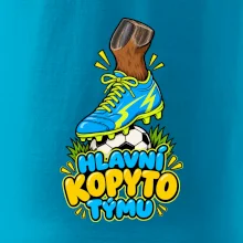 Hlavní kopyto týmu