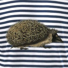 Ježek kresba