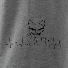EKG křivka kočka