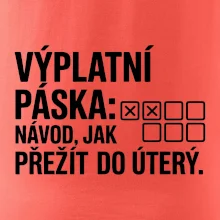 VÝPLATNÍ PÁSKA: Návod, jak přežít do úterý