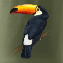 Tukan kreslený
