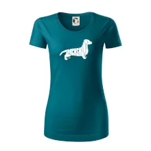 Jezevčík - Dachshund