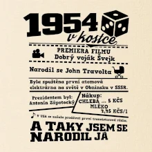 1954 v kostce