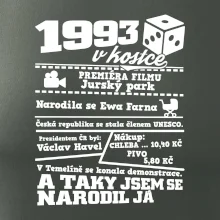 1993 v kostce